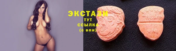 мдпв Каменногорск