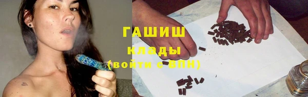 скорость Каменка