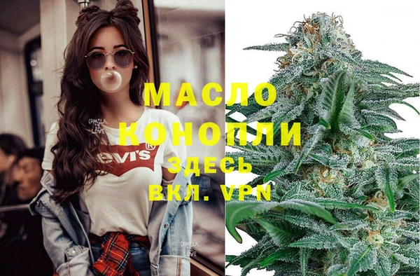 скорость Каменка