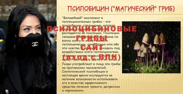 мдпв Каменногорск