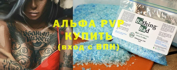 скорость Каменка