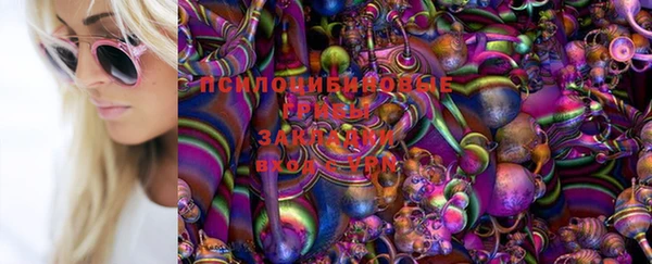 скорость Каменка