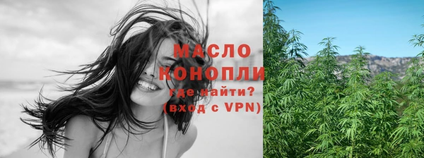 мдпв Каменногорск