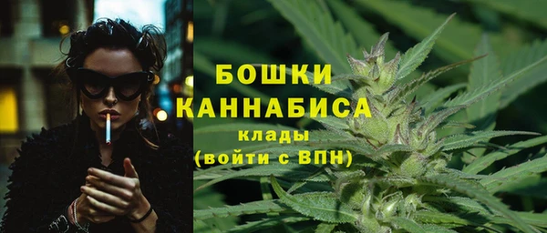 мдпв Каменногорск