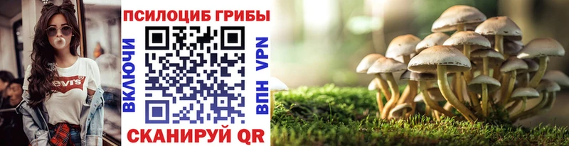 Купить закладки  Рославль  Псилоцибиновые грибы мухоморы 